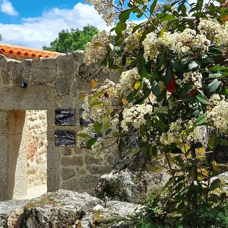 Fragas Do Lobo - Casa Da Azenha Villa Castelo Novo Exterior photo